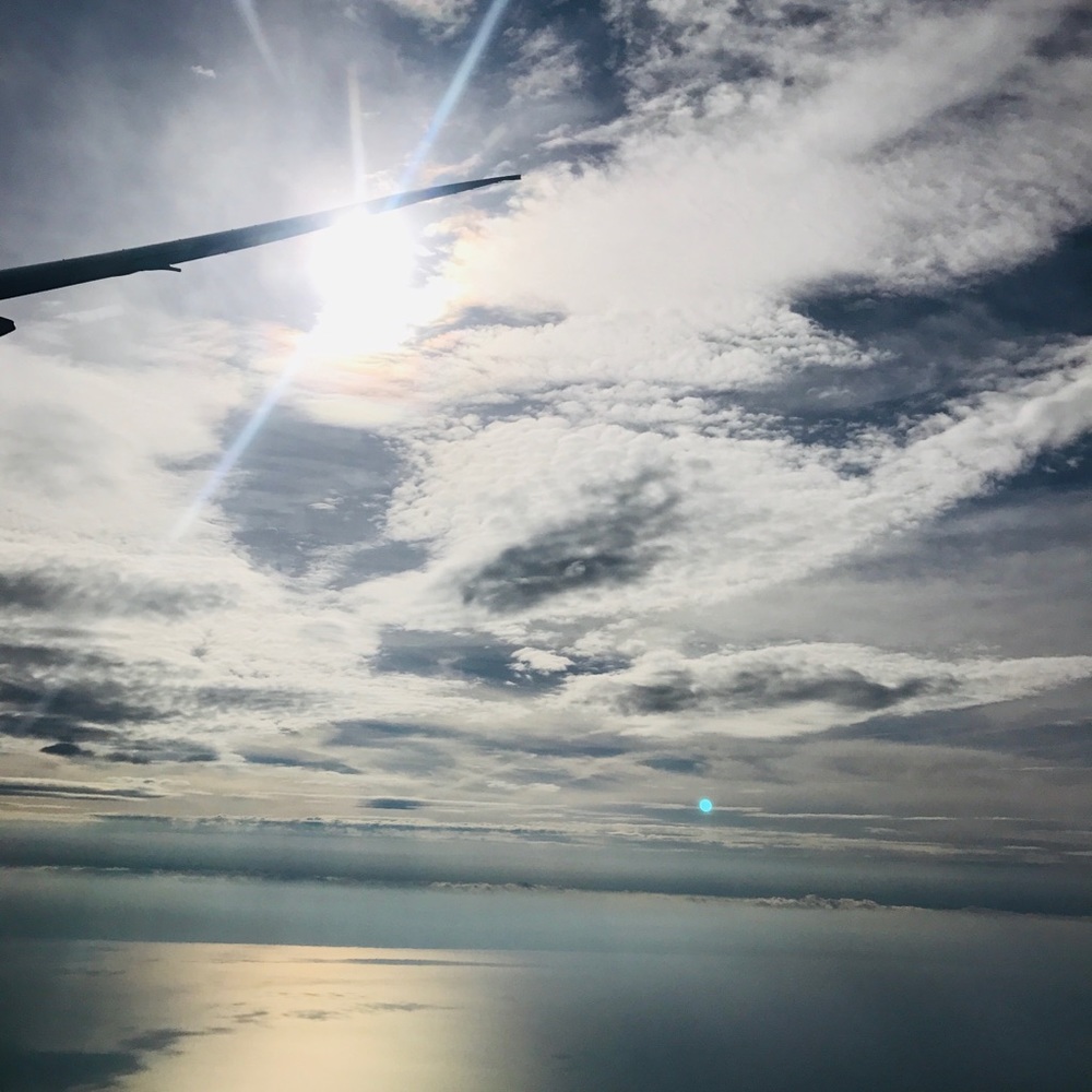 Meet your Posher, Brandis